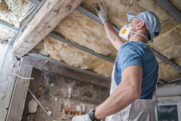 Best Geographic-Specific Insulation Services in Mentone, IN
