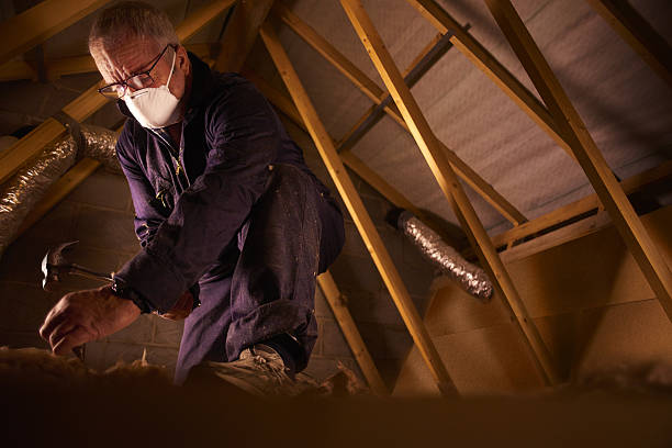 Best Cellulose Insulation in Mentone, IN