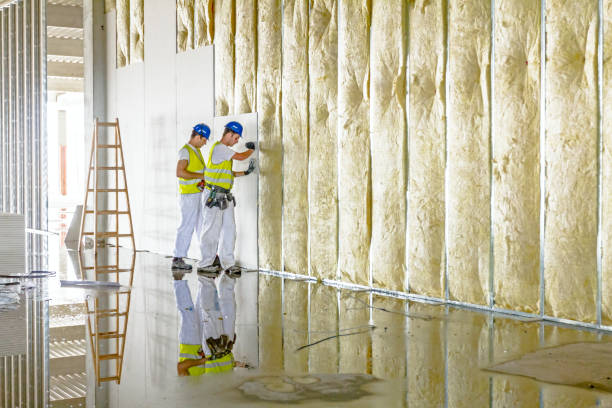 Best Insulation for Specific Applications in Mentone, IN